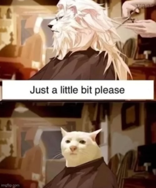 image tagged in cat,lion,haircut,mane,hair,fur | made w/ Imgflip meme maker