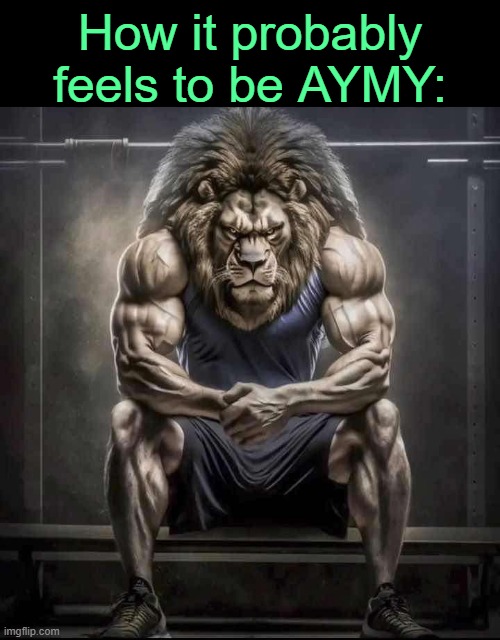 . | How it probably feels to be AYMY: | image tagged in how bro felt after saying that | made w/ Imgflip meme maker