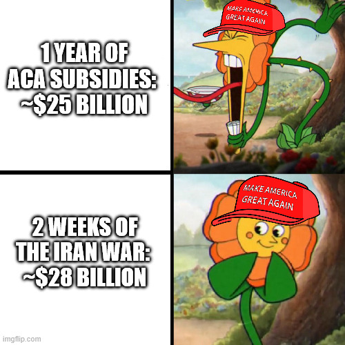 Cuphead Flower | 1 YEAR OF ACA SUBSIDIES: 
~$25 BILLION; 2 WEEKS OF THE IRAN WAR: 
~$28 BILLION | image tagged in cuphead flower | made w/ Imgflip meme maker