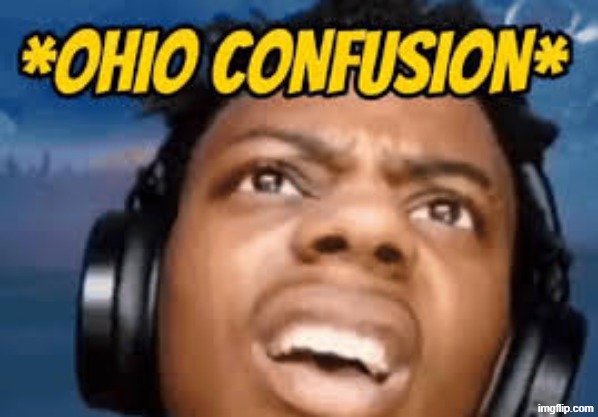 Ohio Confusion | image tagged in ohio confusion | made w/ Imgflip meme maker