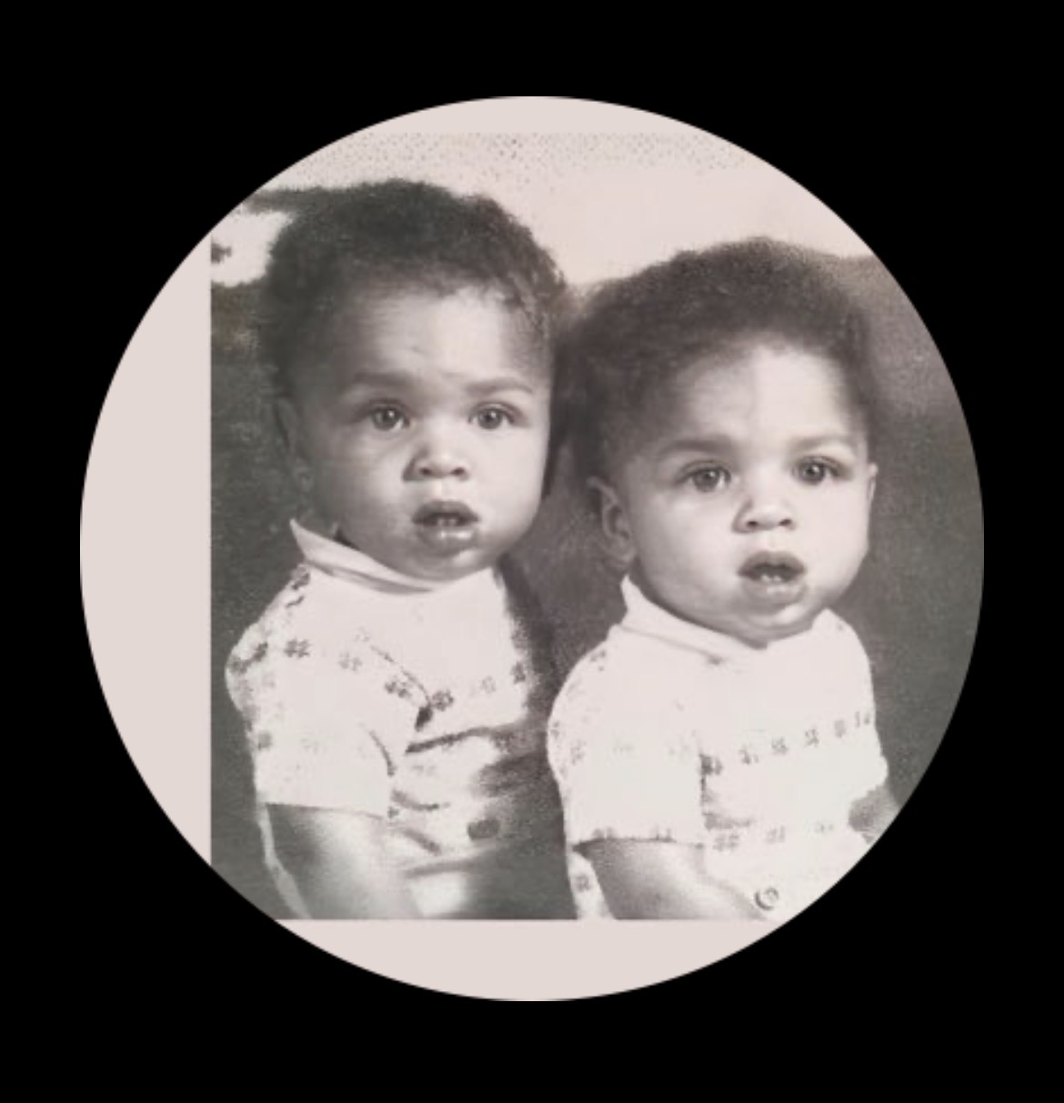 Hodge Twins Blank Meme Template