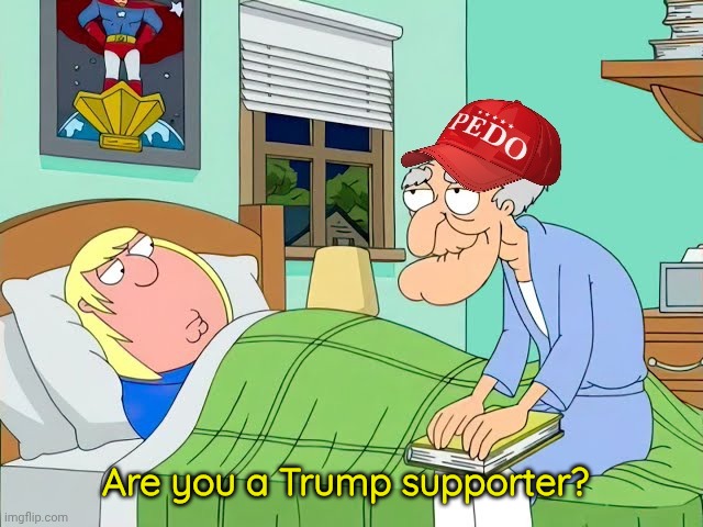 Are you a Trump supporter? | made w/ Imgflip meme maker
