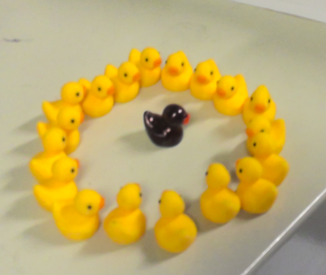 Racist Ducks Blank Meme Template