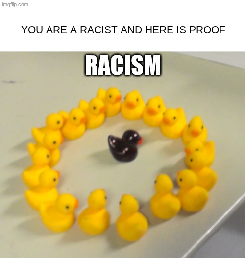 Racism | YOU ARE A RACIST AND HERE IS PROOF; RACISM | image tagged in racist ducks,racist,memes,funny,dank memes,black | made w/ Imgflip meme maker