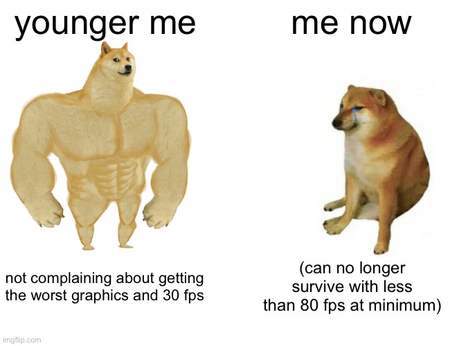 now my standard is at least a $600 gaming pc (i’m garbage using anything else) | younger me; me now; not complaining about getting the worst graphics and 30 fps; (can no longer survive with less than 80 fps at minimum) | image tagged in memes,buff doge vs cheems | made w/ Imgflip meme maker