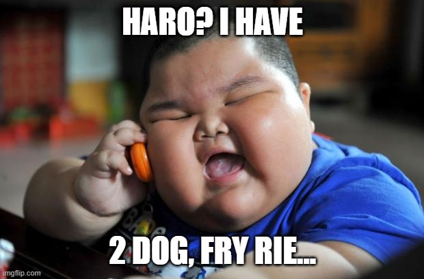 Fat Asian Kid | HARO? I HAVE 2 DOG, FRY RIE... | image tagged in fat asian kid | made w/ Imgflip meme maker