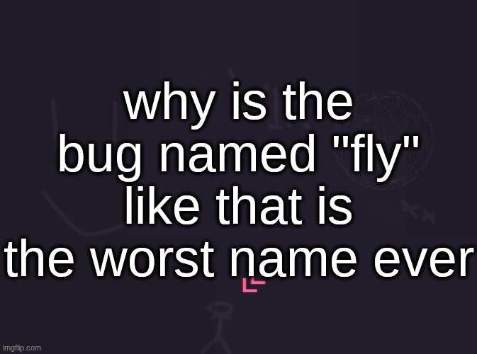 vik's image | why is the bug named "fly" like that is the worst name ever | image tagged in vik's image | made w/ Imgflip meme maker
