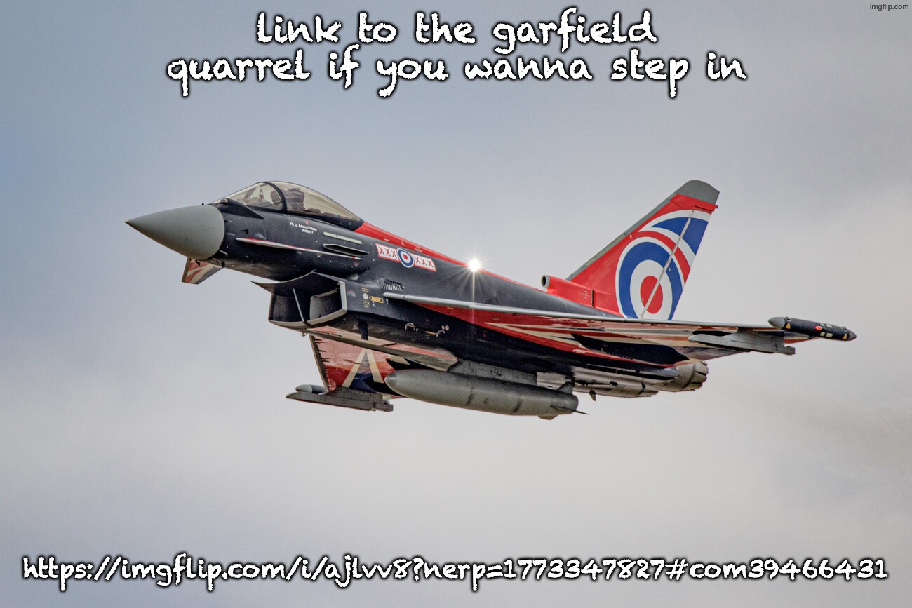 Eurofighter Typhoon Blackjack livery | link to the garfield quarrel if you wanna step in; https://imgflip.com/i/ajlvv8?nerp=1773347827#com39466431 | image tagged in eurofighter typhoon blackjack livery | made w/ Imgflip meme maker