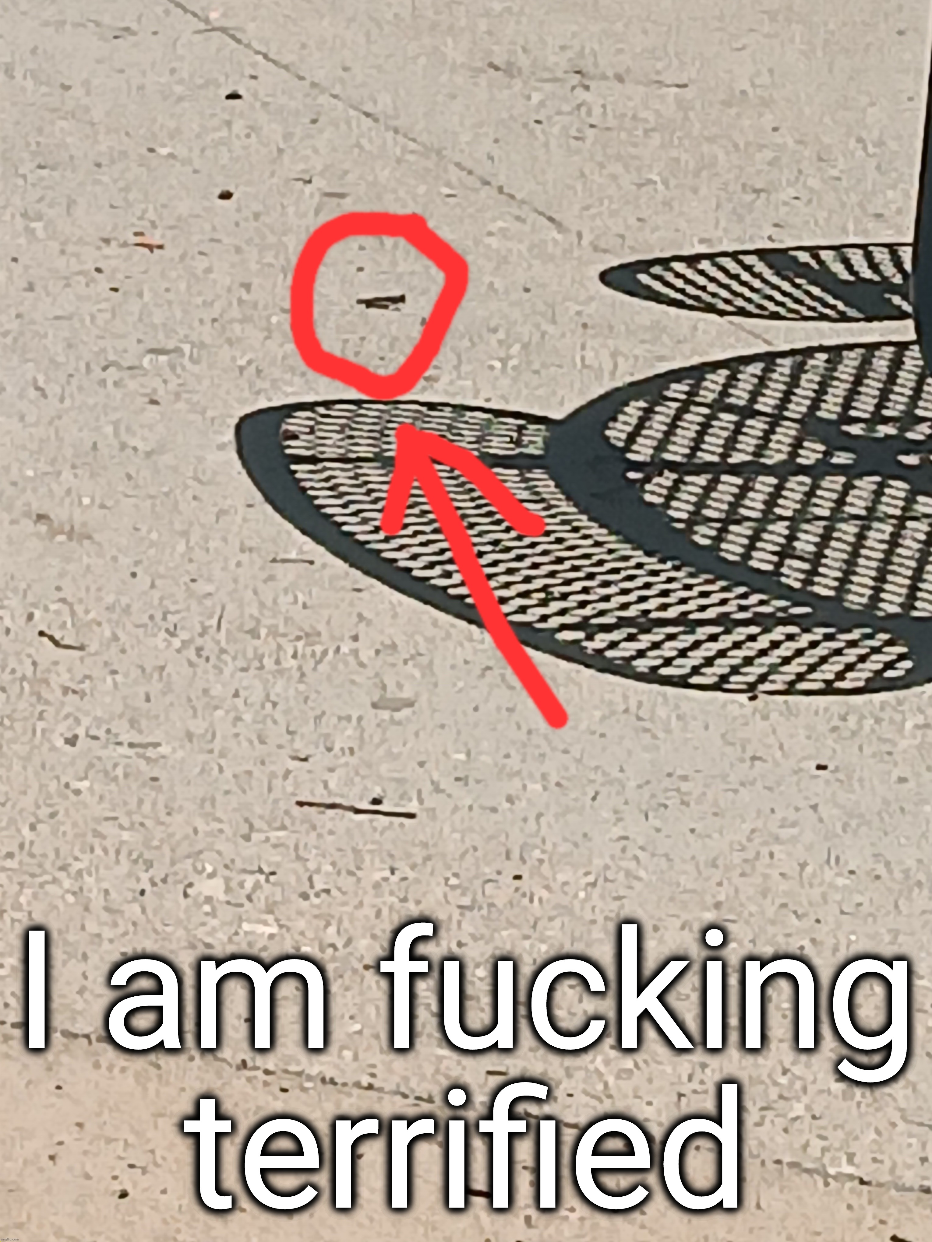 im far away but inside that circle is a bug | I am fucking terrified | made w/ Imgflip meme maker