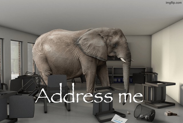 image tagged in adress me elephant | made w/ Imgflip meme maker
