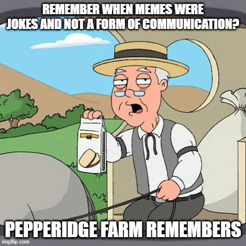I can't be the only one noticing this, right? | REMEMBER WHEN MEMES WERE JOKES AND NOT A FORM OF COMMUNICATION? PEPPERIDGE FARM REMEMBERS | image tagged in memes,pepperidge farm remembers | made w/ Imgflip meme maker