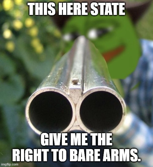 Pepegun | THIS HERE STATE GIVE ME THE RIGHT TO BARE ARMS. | image tagged in pepegun | made w/ Imgflip meme maker
