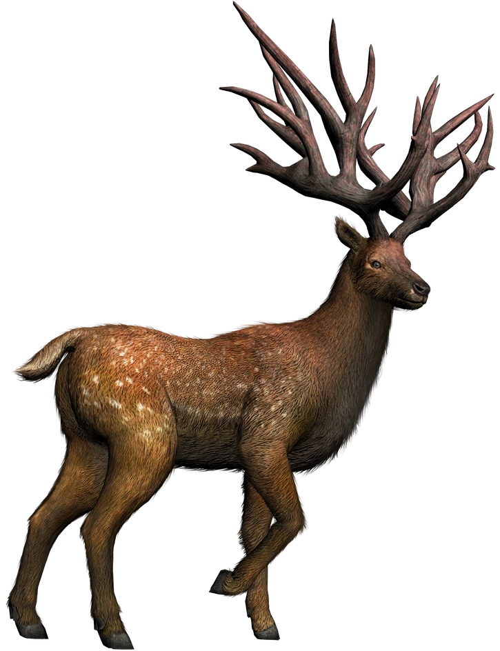 Eucladoceros (JWA Design) Blank Meme Template