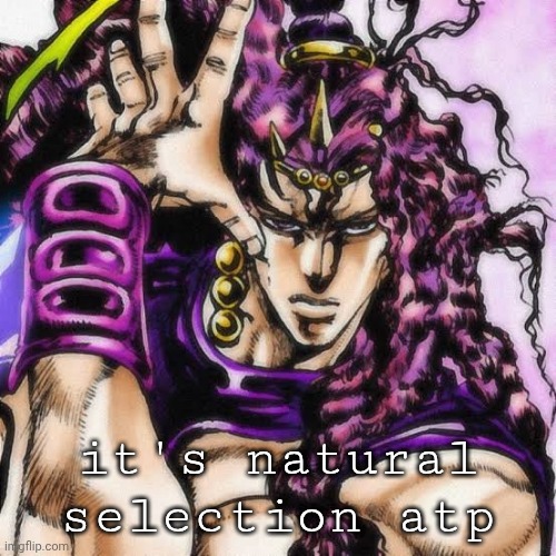 The Perfect Lifeform | it's natural selection atp | image tagged in the perfect lifeform | made w/ Imgflip meme maker