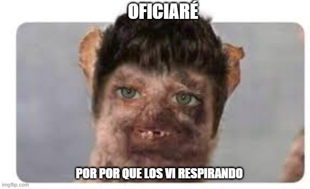 amhe75.jpg