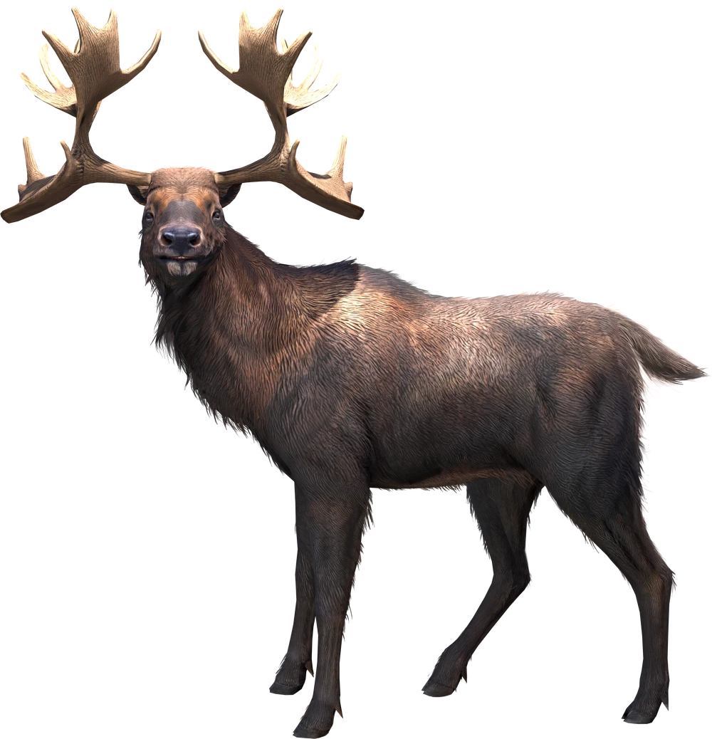 Cervalces gallicus (JWA Design) Blank Meme Template