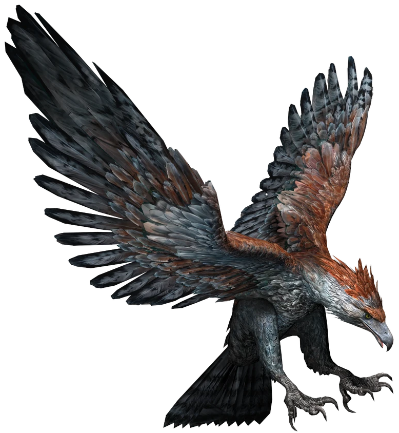 Haast's Eagle (JWA Design) Blank Meme Template