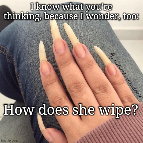 Bathroom question | I know what you're thinking, because I wonder, too:; deadboxprime; How does she wipe? | image tagged in toileting | made w/ Imgflip meme maker