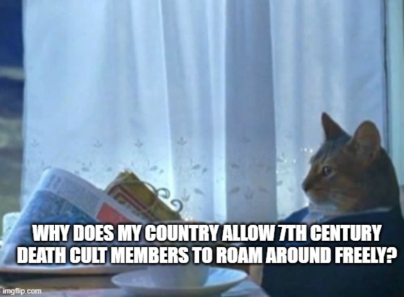I Should Buy A Boat Cat Meme | WHY DOES MY COUNTRY ALLOW 7TH CENTURY DEATH CULT MEMBERS TO ROAM AROUND FREELY? | image tagged in memes,i should buy a boat cat | made w/ Imgflip meme maker