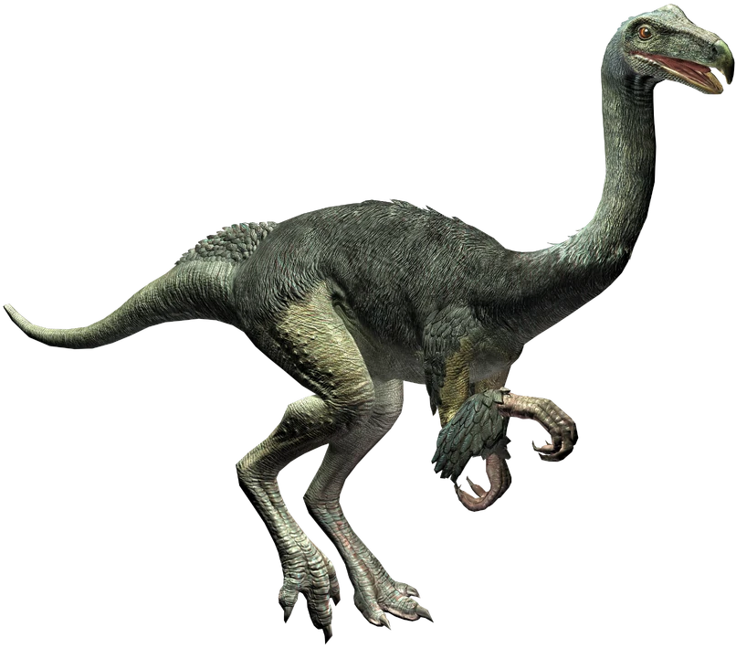 Aquilamimus Blank Meme Template