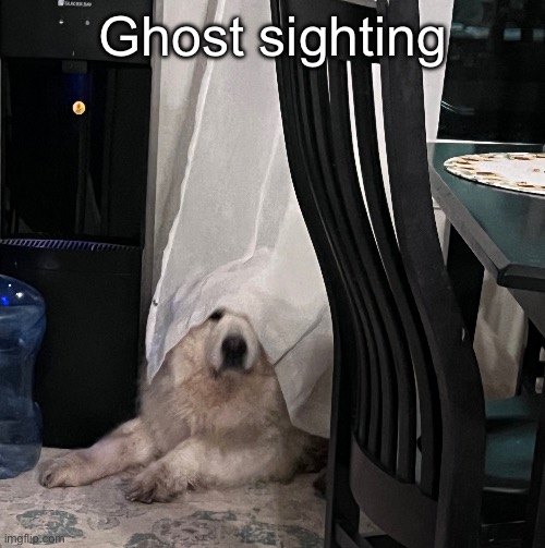 I love Kiva she’s so funny | Ghost sighting | made w/ Imgflip meme maker