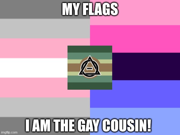 no hate please, I just wanna make myself known | MY FLAGS; I AM THE GAY COUSIN! | image tagged in lgbtq,pride,support | made w/ Imgflip meme maker