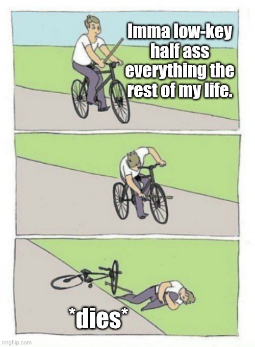 Literally | Imma low-key half ass everything the rest of my life. *dies* | image tagged in bike fail,low key just a chill guy,dumb | made w/ Imgflip meme maker