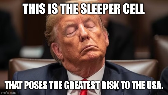 Sundowning Donnie | THIS IS THE SLEEPER CELL; THAT POSES THE GREATEST RISK TO THE USA. | image tagged in trump sleep in court,trump unfit unqualified dangerous,donald trump,dementia,alzheimers | made w/ Imgflip meme maker