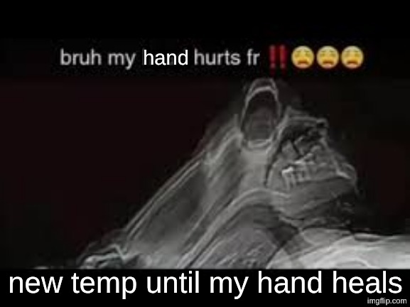 my hand hurts fr | new temp until my hand heals | image tagged in my hand hurts fr | made w/ Imgflip meme maker