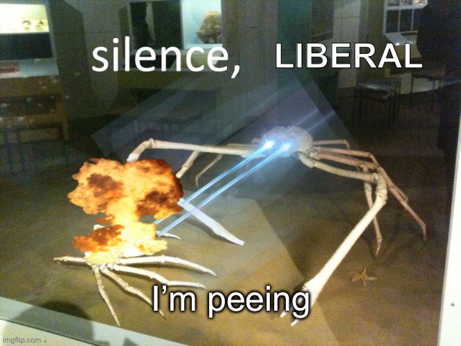Nature calls | LIBERAL; I’m peeing | image tagged in silence,memes | made w/ Imgflip meme maker