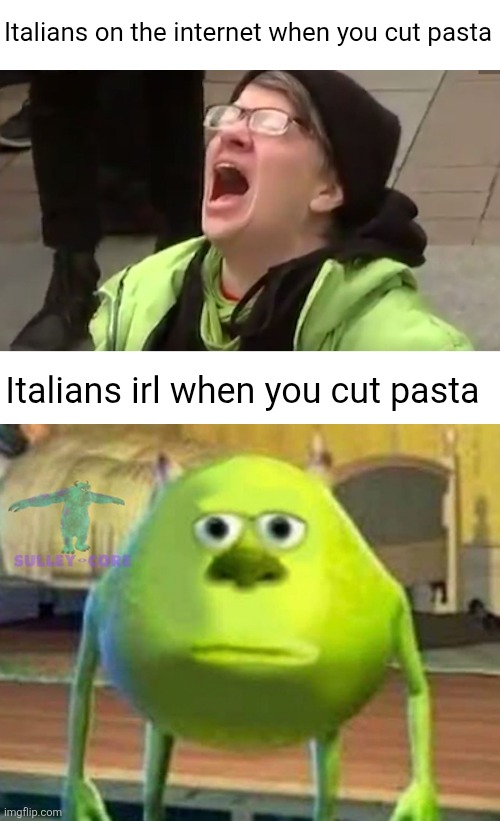 Or eat it with ketchup, ect... anything that isn't traditional | Italians on the internet when you cut pasta; Italians irl when you cut pasta | image tagged in screaming liberal,monsters inc,stare,italians,pasta,food | made w/ Imgflip meme maker