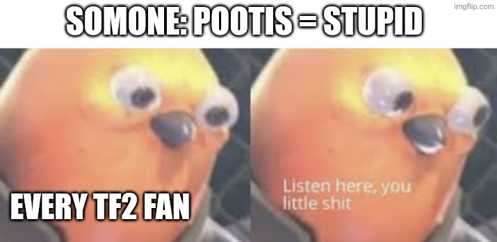 Listen here you little shit bird | SOMONE: POOTIS = STUPID; EVERY TF2 FAN | image tagged in listen here you little shit bird | made w/ Imgflip meme maker