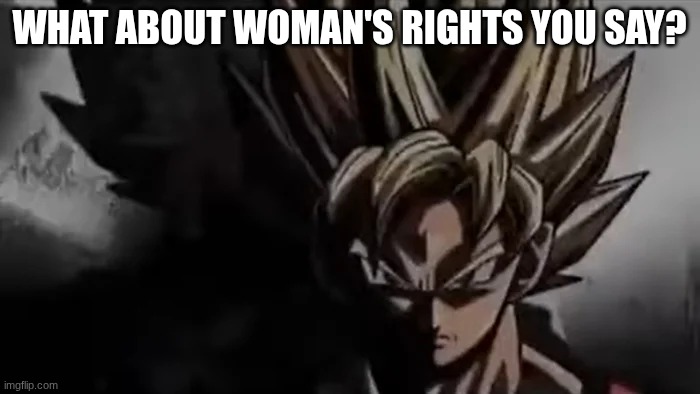 Goku Staring | WHAT ABOUT WOMAN'S RIGHTS YOU SAY? | image tagged in goku staring | made w/ Imgflip meme maker