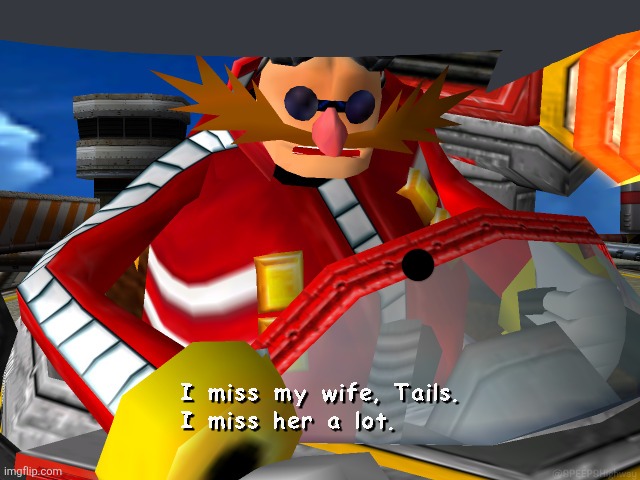 I miss my wife, Tails. | image tagged in i miss my wife tails | made w/ Imgflip meme maker