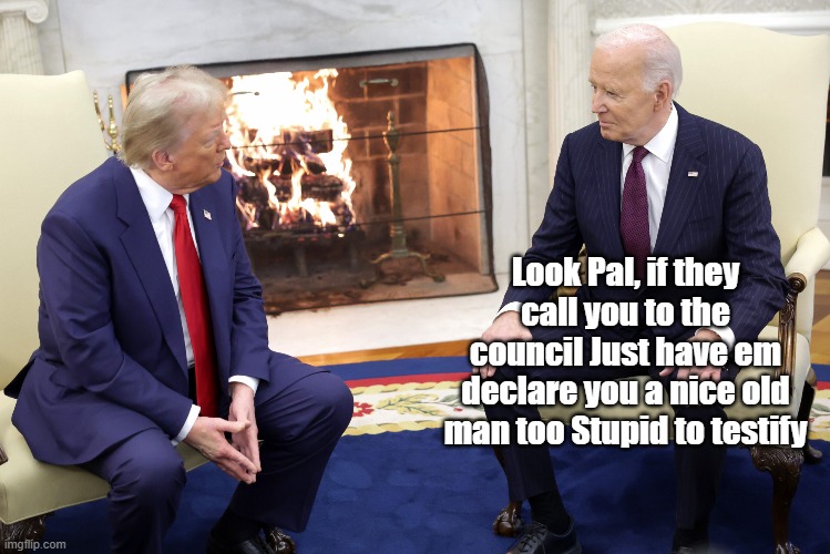 Look Pal, if they call you to the council Just have em declare you a nice old man too Stupid to testify | made w/ Imgflip meme maker