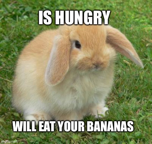 Listening for the nanners | IS HUNGRY; WILL EAT YOUR BANANAS | image tagged in lol,memes,where banana | made w/ Imgflip meme maker