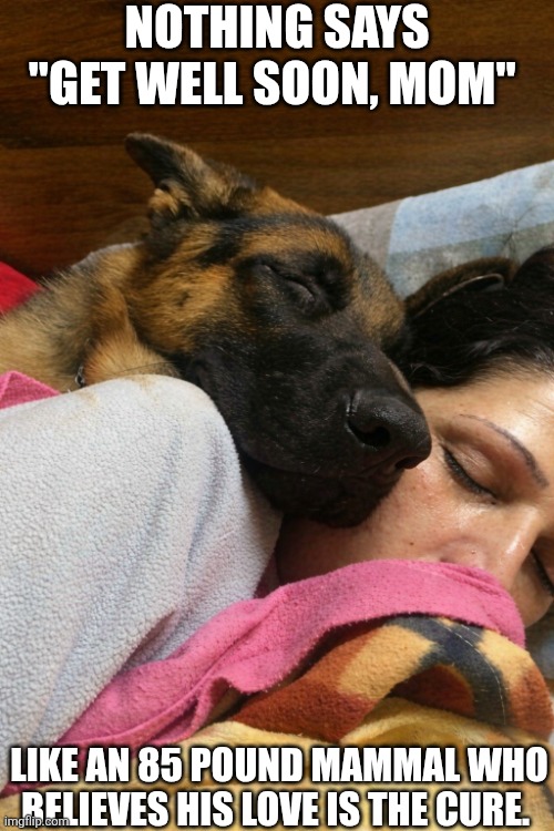 Nothing Says Get Well Soon Mom | NOTHING SAYS "GET WELL SOON, MOM"; LIKE AN 85 POUND MAMMAL WHO BELIEVES HIS LOVE IS THE CURE. | image tagged in chrisjoines1 | made w/ Imgflip meme maker