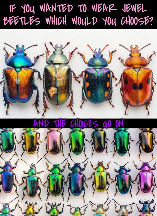 If they made beads and jewelry from these, why not choose a better color? | IF YOU WANTED TO WEAR JEWEL BEETLES WHICH WOULD YOU CHOOSE? AND THE CHOICES GO ON | image tagged in outrageous,bugs | made w/ Imgflip meme maker