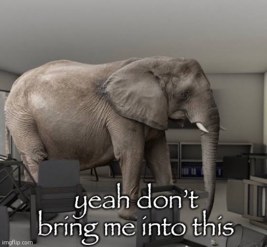 Address me | image tagged in address me | made w/ Imgflip meme maker