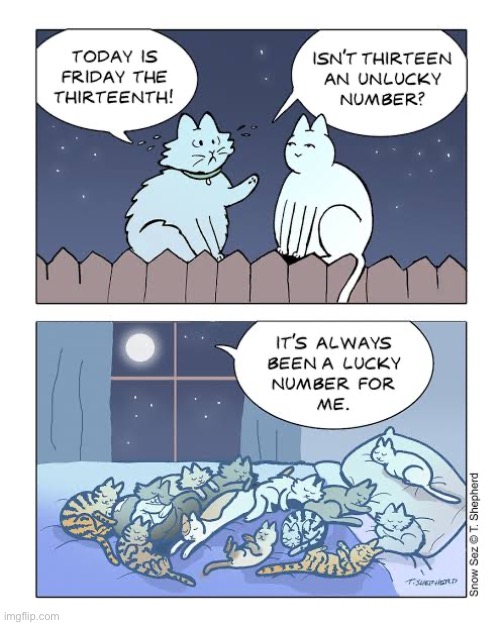 Friday the 13th isn’t unlucky | image tagged in cats,comics,friday the 13th,lucky,on the fence | made w/ Imgflip meme maker