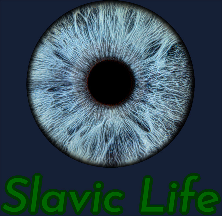 Slavic Life Blank Meme Template