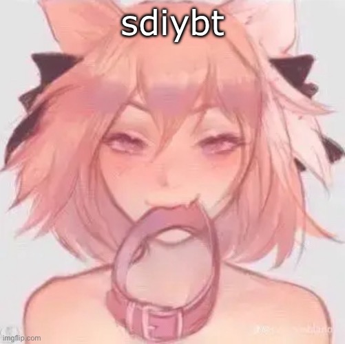 Femboy with collar | sdiybt | image tagged in femboy with collar | made w/ Imgflip meme maker