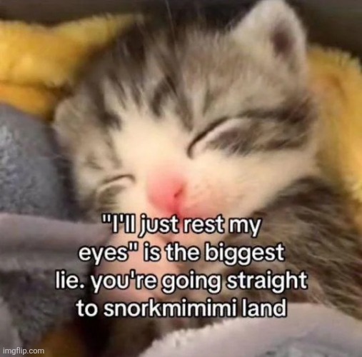 gn chatington | made w/ Imgflip meme maker