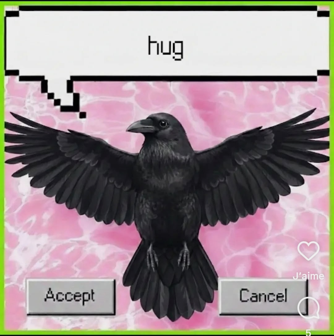 hug raven Blank Meme Template
