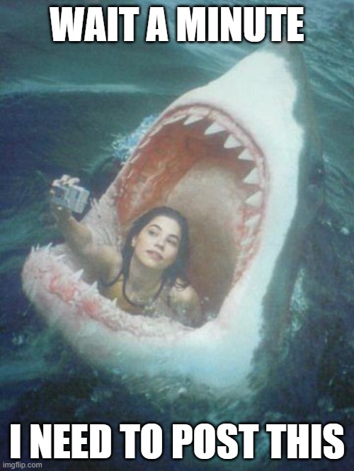 shark attack | WAIT A MINUTE; I NEED TO POST THIS | image tagged in memes | made w/ Imgflip meme maker