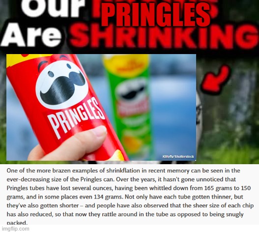 at least they still have more chips than lays | PRINGLES | image tagged in our brains are shrinking,memes,our brains are not not here | made w/ Imgflip meme maker