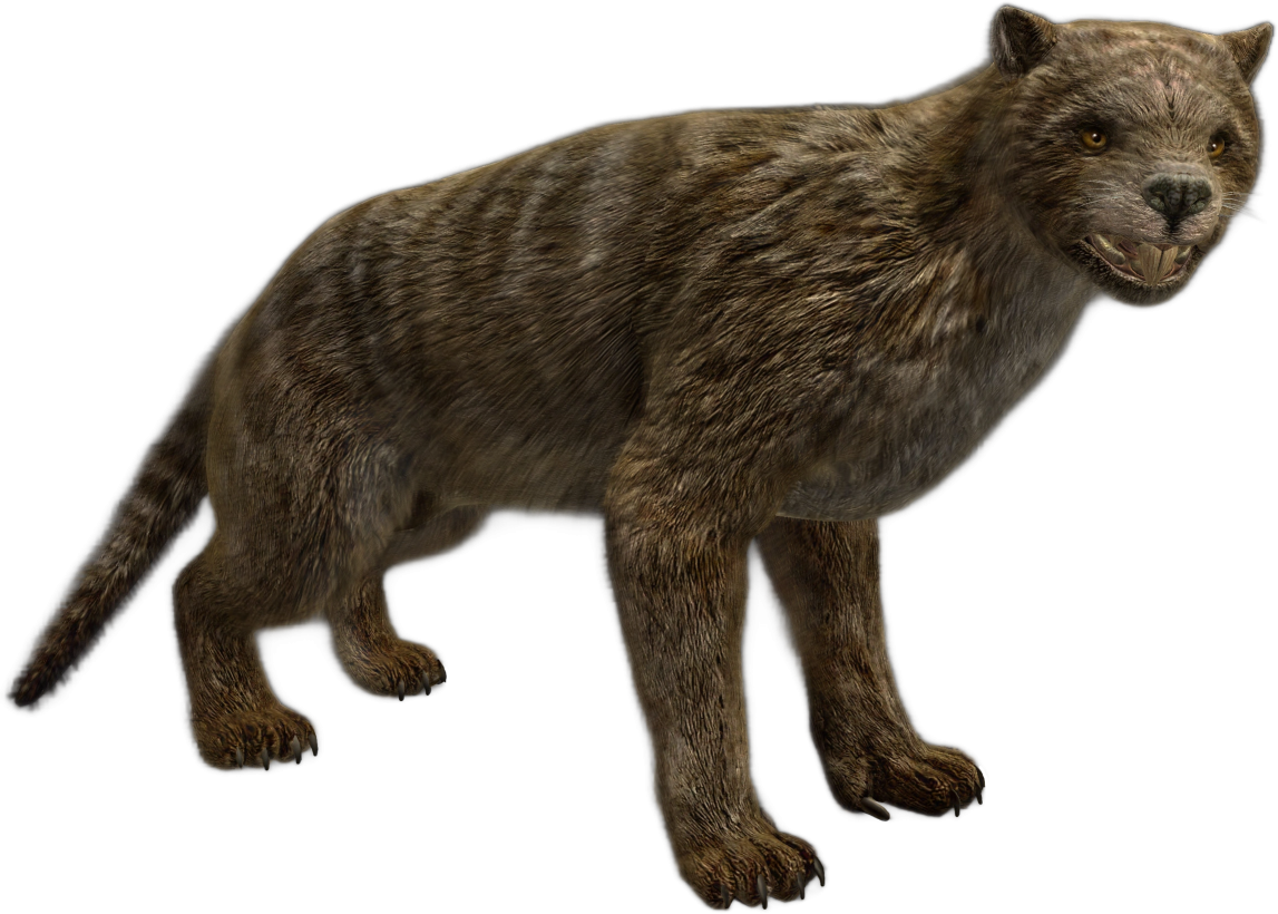 Thylacoleo 2 (JWA Design) Blank Meme Template