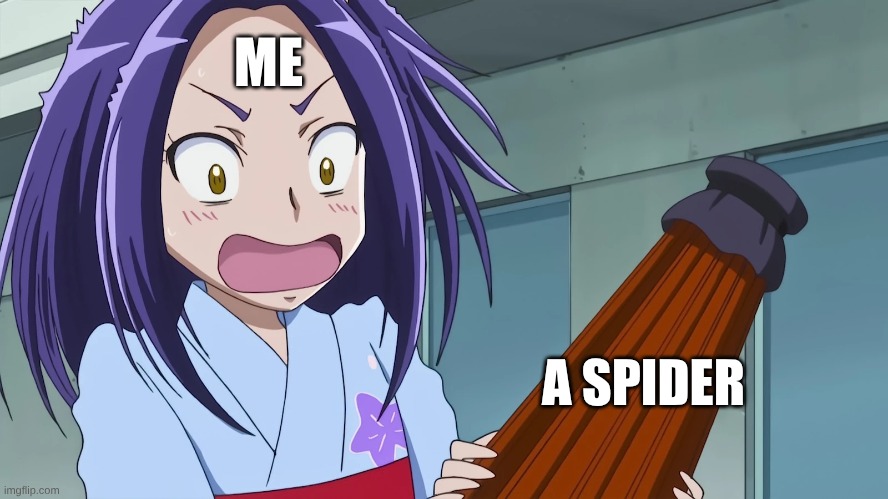 One of my longtime fears | ME; A SPIDER | image tagged in memes,precure,spiders,arachnophobia,relatable | made w/ Imgflip meme maker
