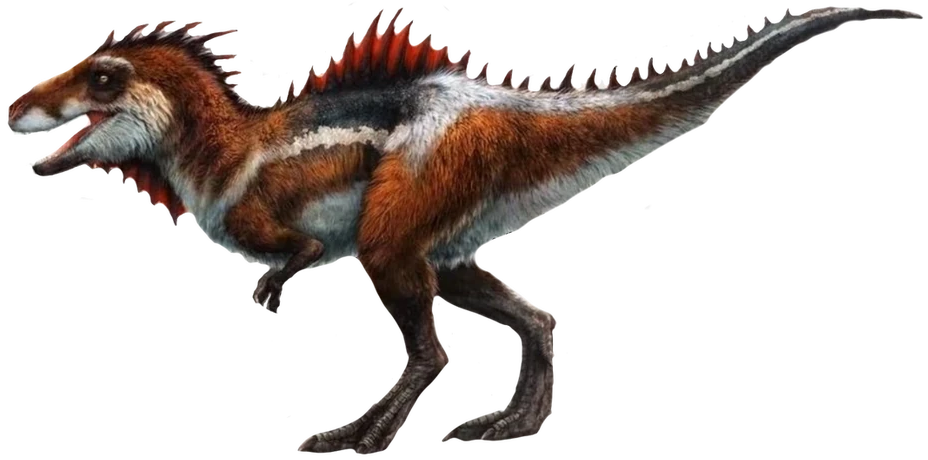 Thylos Intrepidus Blank Meme Template