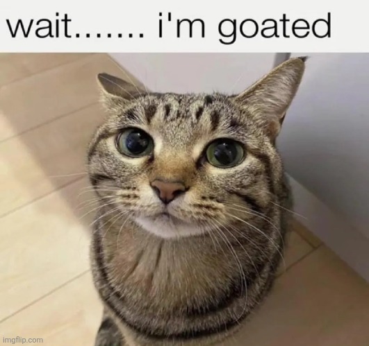 my name is | made w/ Imgflip meme maker